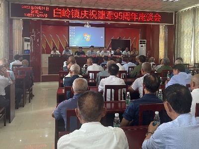 白岭镇组织召开庆祝建军95周年座谈会