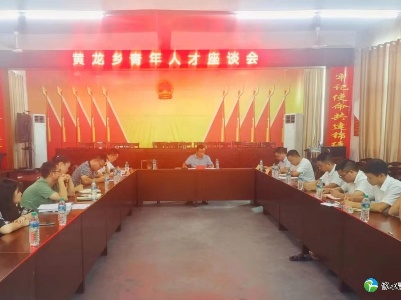 黄龙乡召开青年人才党支部建设座谈会
