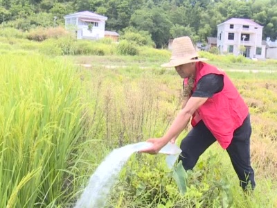 山口镇中桃村：群策群力 打响抗旱“保卫战”