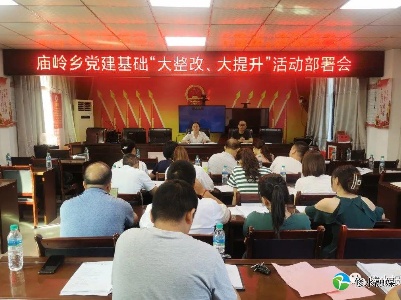 庙岭乡部署党建基础“大整改、大提升”活动