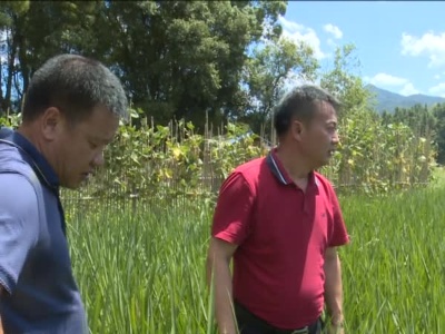 全省禁毒工作电视电话会暨“百日禁毒”专项行动推进会