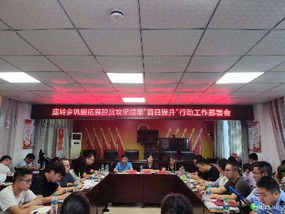 庙岭乡召开巩固拓展脱贫攻坚成果“百日提升”行动动员部署会