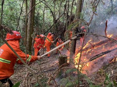 火情就是命令！上奉镇民兵应急排全力协助扑灭山火