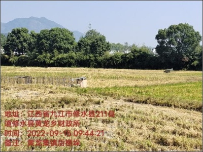 黄龙乡：综合整治“回头看” 乡村环境再提升   