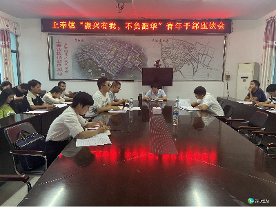 上奉镇召开 青年干部座谈会