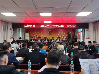 庙岭乡第十八届人民代表大会第三次会议召开