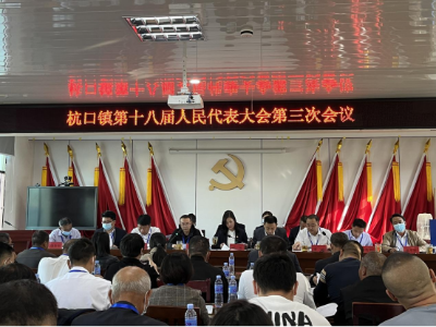  杭口镇第十八届人民代表大会第三次会议召开