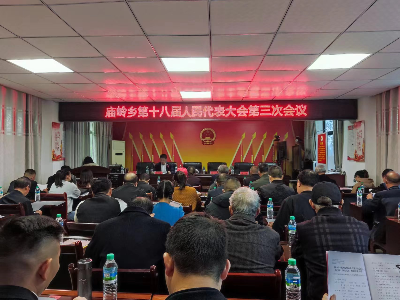 庙岭乡人大开展民主测评活动