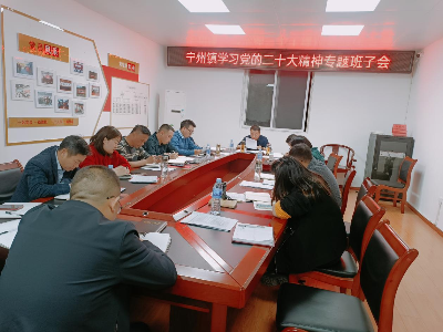宁州镇：凝心聚力当先锋，全面掀起学习宣传贯彻党的二十大精神热潮