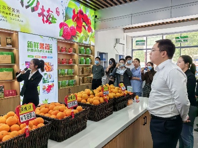 江西修水：乡村创办强村公司 让村集体经济强起来