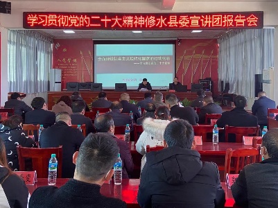 【全面深入学习贯彻党的二十大精神】马坳镇召开党的二十大精神专题宣讲会