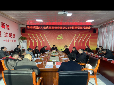 马坳镇召开返乡人士代表座谈会暨2023年招商引资对接会