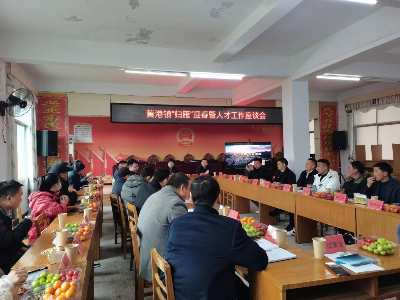 黄港镇组织召开“归雁”迎春暨人才工作座谈会