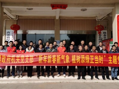 西港镇：新年添新绿 不负好春光