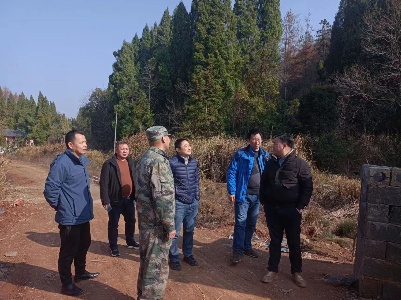 省林检中心到修水县督导松材线虫病防控工作