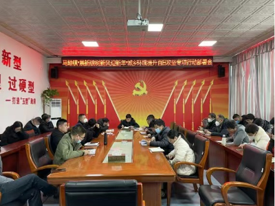 马坳镇：集中开展生活垃圾大清理行动