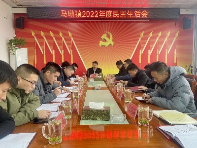 马坳镇召开2022年度领导班子民主生活会