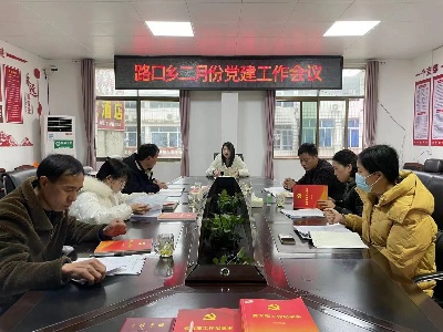 路口乡基层党组织召开2022年度组织生活会