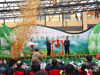 大椿举办首届茶叶开市节！现场签约1800万元