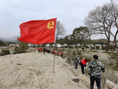 【新时代文明实践】植树造林  美化乡村 