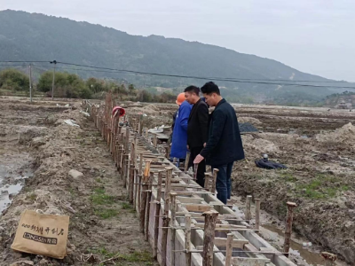 大桥镇：春耕正当时   代表来助力