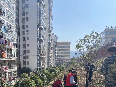 宁州镇清水桥社区“党建引领添新绿，共建联建美社区”学雷锋主题活动