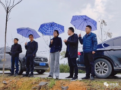 刘婕到太阳升庙岭调研指导工作