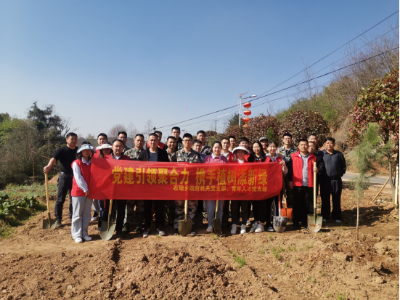 石坳乡：春日晴方好  植树正当时