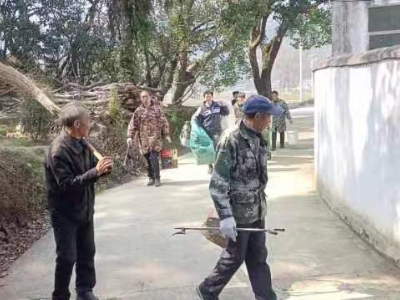 西港镇：创新环境工作机制   刷新农村面貌新颜值