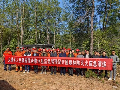 大椿乡联合县应急管理局开展森林防火演练