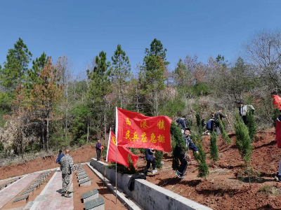 植树添绿缅先烈，西港镇民兵排组织到烈士陵园开展植树活动