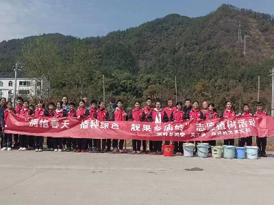 学雷锋   树新风——庙岭乡组织开展志愿植树活动