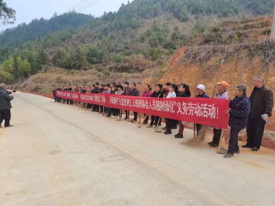 何市镇：植树造林添新绿 环境整治在行动