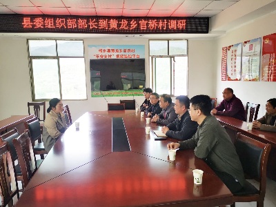 县委常委、组织部部长刘雪萍到黄龙乡官桥村调研指导工作