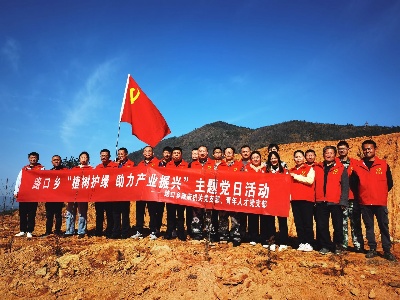 路口乡：党员义务植树 助力产业振兴