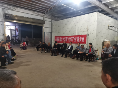 聊发展、谋出路！修水县西港镇“板凳会”助力化红产业振兴