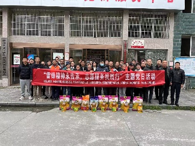义宁镇红山社区“党建引领 城市创建+志愿服务”活动