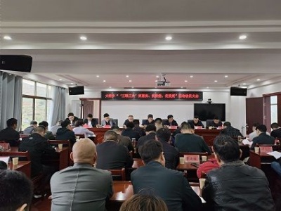 大椿乡召开“‘三联三共’抓落实、提效能、促发展”活动动员会