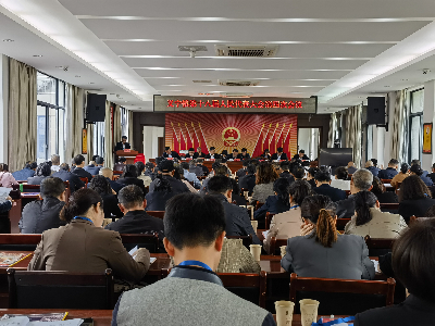 义宁镇召开第十八届人民代表大会第四次会议