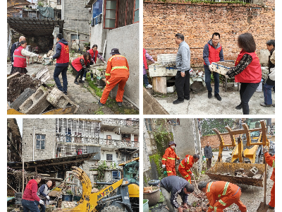 义宁镇西摆社区开展：“整治人居环境，共建美好家园”主题活动