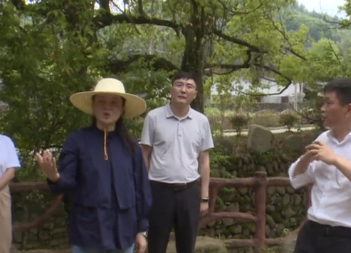 劉婕深入黃坳黃港考察調研