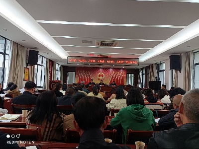 义宁镇召开“大走访、大宣传、大排查、大化解、大治理”活动部署会