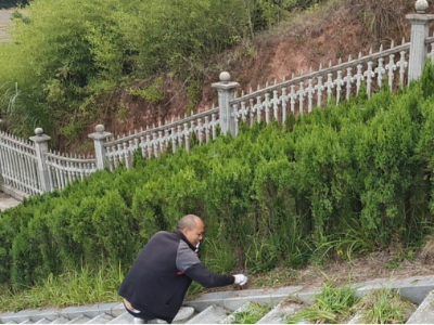 【网络中国节·清明】修水县大桥镇：开展清明专项环境整治   营造整洁生态清明