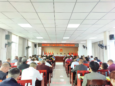 西港镇召开第十七届人民代表大会第四次会议