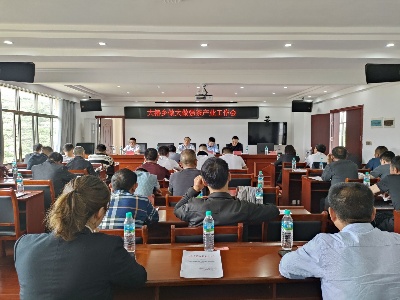 大椿乡召开做大做强茶产业工作会