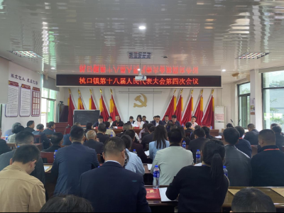 杭口镇召开第十八届人民代表大会第四次会议