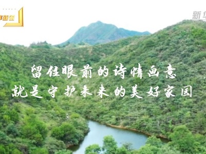 新华全媒+｜他的鱼塘不问收获，只为守住候鸟蹁跹