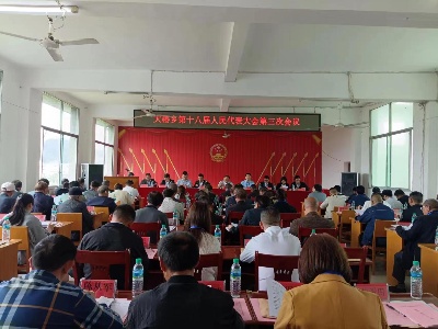 大椿乡召开第十八届人民代表大会第三次会议
