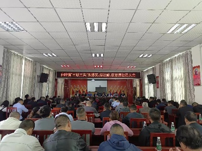 白嶺鎮召開“‘三聯三共’抓落實、提效能、促發展”活動動員大會