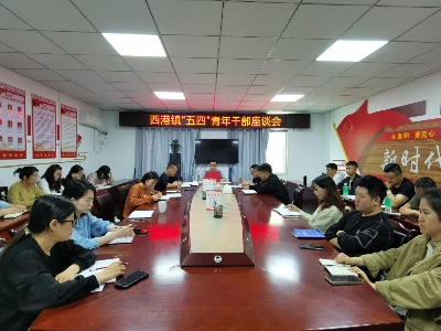西港镇召开青年干部座谈会